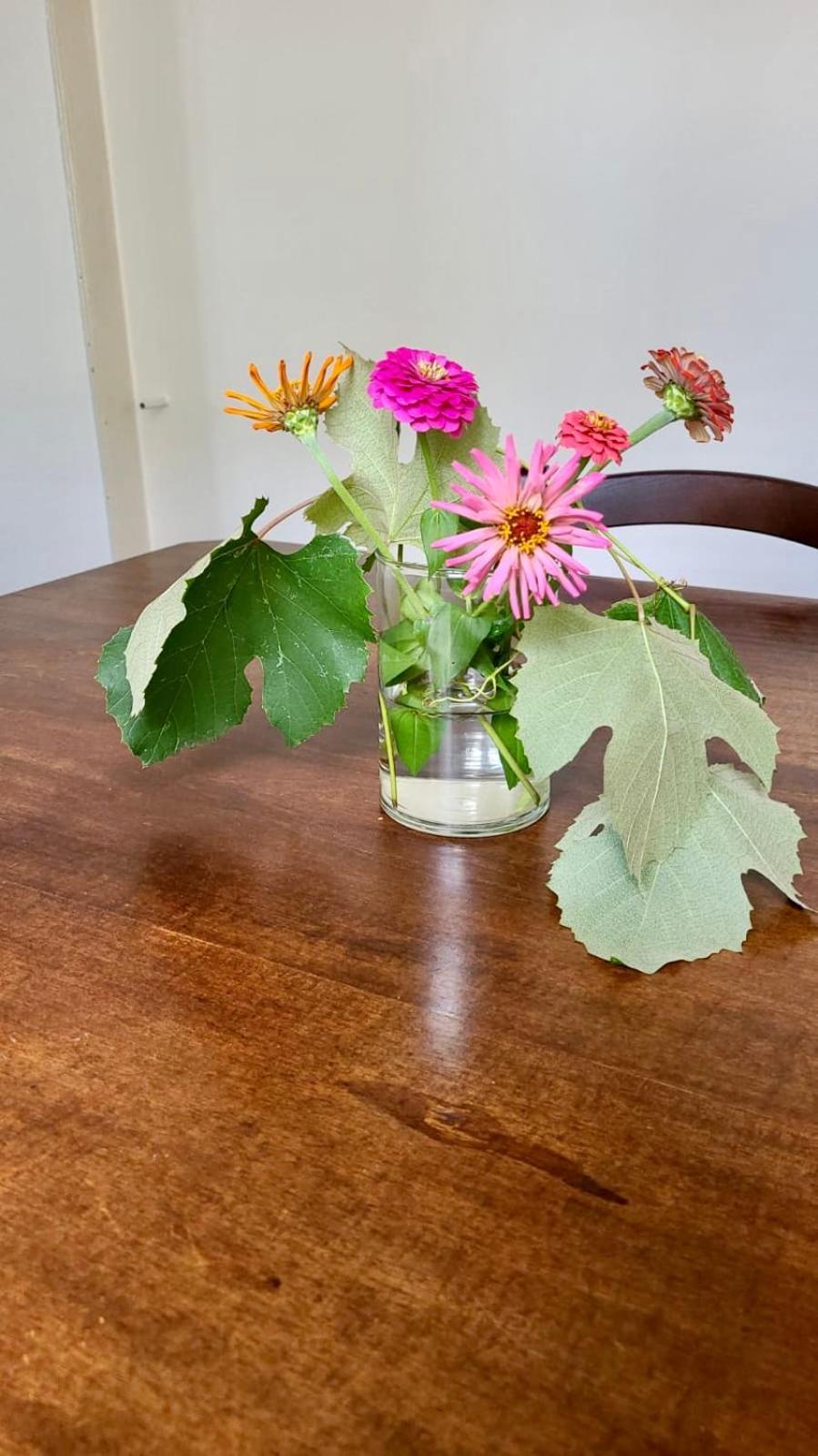 Antica Casa Storica Con Giardino Διαμέρισμα Domodossola Εξωτερικό φωτογραφία