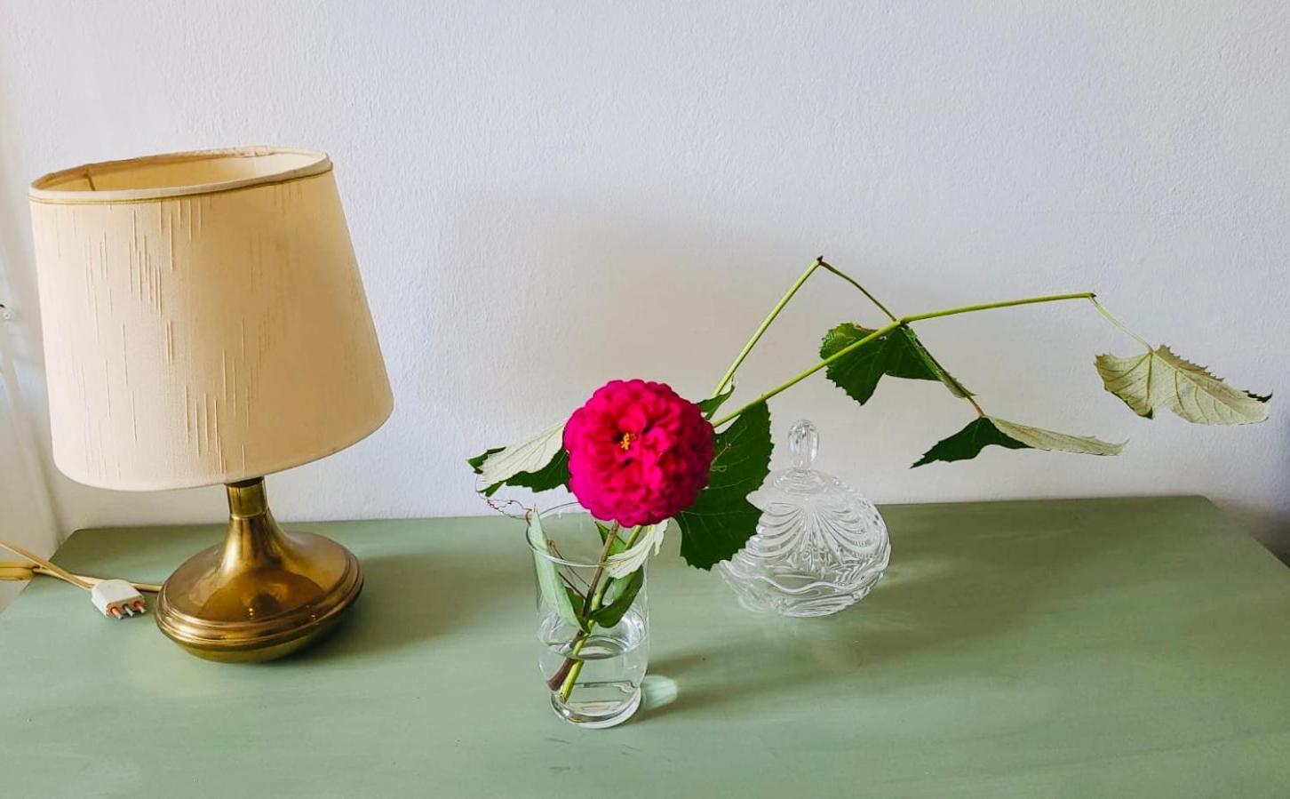 Antica Casa Storica Con Giardino Διαμέρισμα Domodossola Εξωτερικό φωτογραφία